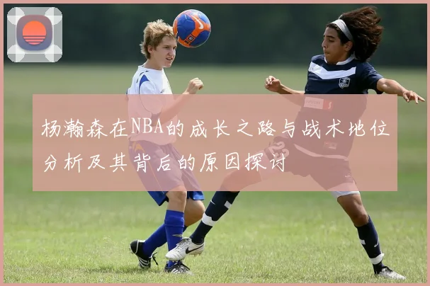 杨瀚森在NBA的成长之路与战术地位分析及其背后的原因探讨