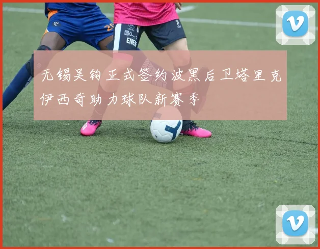无锡吴钩正式签约波黑后卫塔里克伊西奇助力球队新赛季