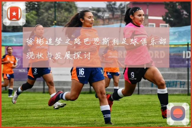 徐彬追梦之路巴恩斯利足球俱乐部现状与发展探讨