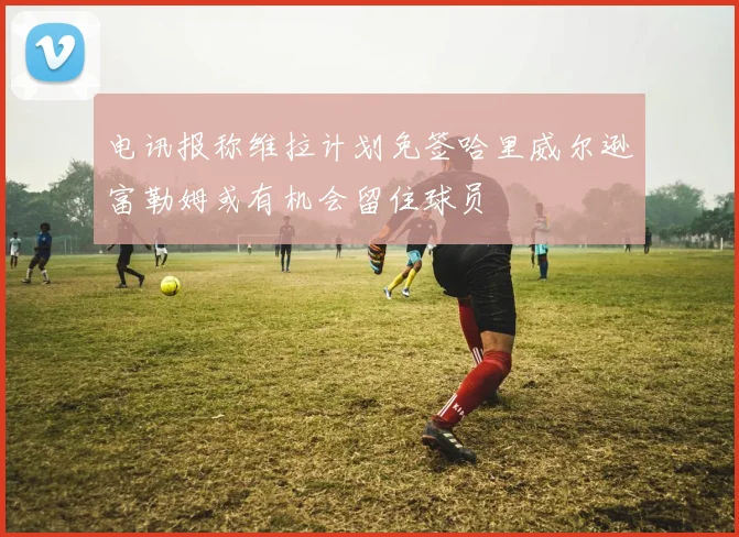 电讯报称维拉计划免签哈里威尔逊富勒姆或有机会留住球员